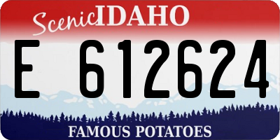 ID license plate E612624