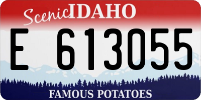 ID license plate E613055