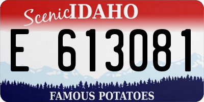 ID license plate E613081