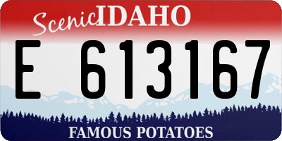 ID license plate E613167