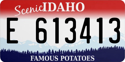 ID license plate E613413