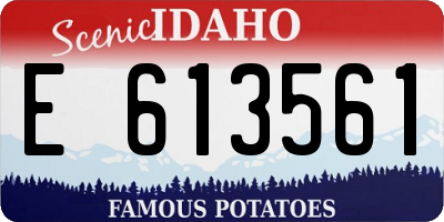 ID license plate E613561