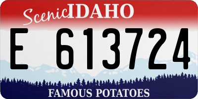 ID license plate E613724