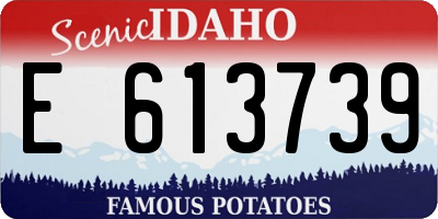 ID license plate E613739
