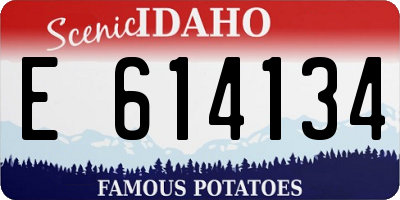 ID license plate E614134