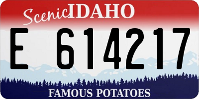 ID license plate E614217