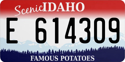 ID license plate E614309