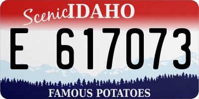 ID license plate E617073