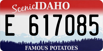 ID license plate E617085
