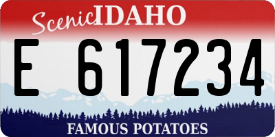 ID license plate E617234