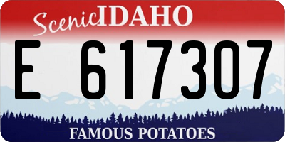 ID license plate E617307