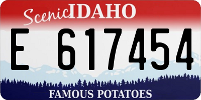 ID license plate E617454