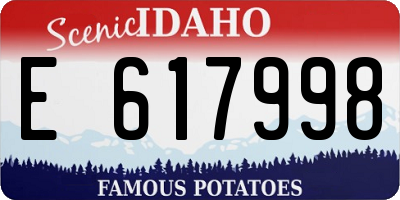 ID license plate E617998