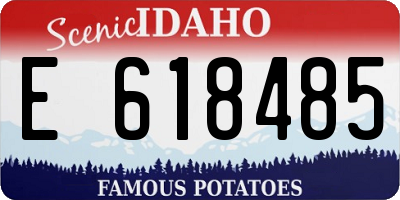 ID license plate E618485