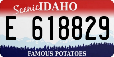 ID license plate E618829