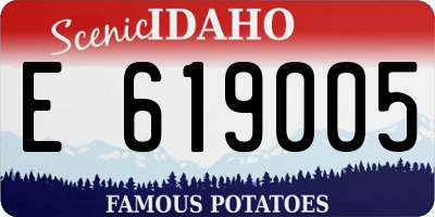 ID license plate E619005