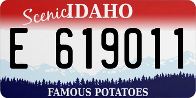 ID license plate E619011