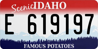 ID license plate E619197