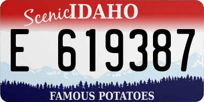 ID license plate E619387