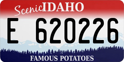 ID license plate E620226