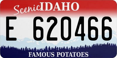 ID license plate E620466