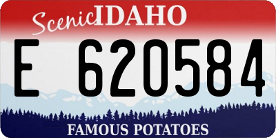 ID license plate E620584