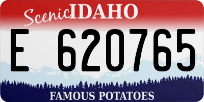 ID license plate E620765
