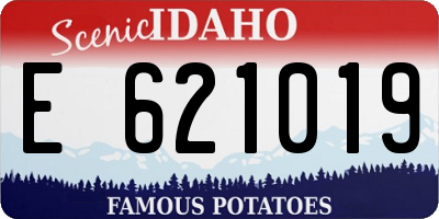 ID license plate E621019