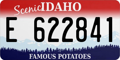 ID license plate E622841