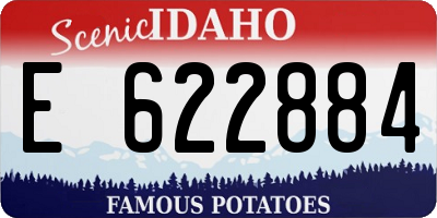 ID license plate E622884