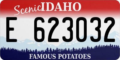 ID license plate E623032