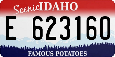 ID license plate E623160