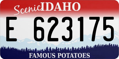 ID license plate E623175