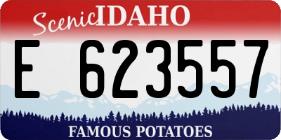 ID license plate E623557