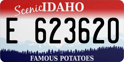 ID license plate E623620