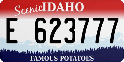 ID license plate E623777