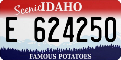 ID license plate E624250