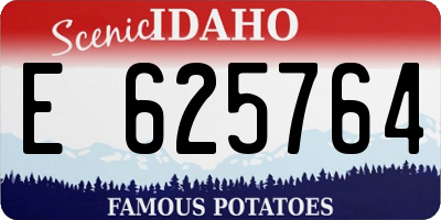 ID license plate E625764