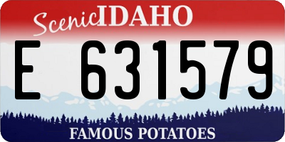 ID license plate E631579