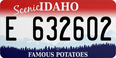 ID license plate E632602