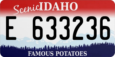 ID license plate E633236