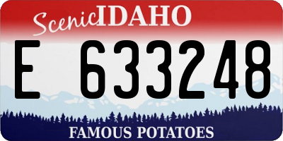 ID license plate E633248