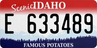 ID license plate E633489