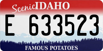 ID license plate E633523