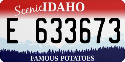 ID license plate E633673
