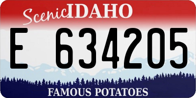 ID license plate E634205