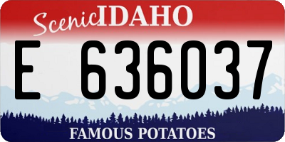 ID license plate E636037