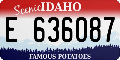 ID license plate E636087