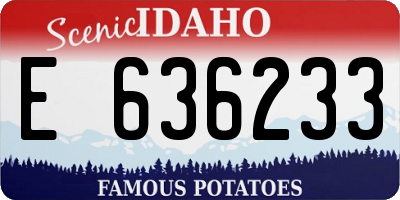 ID license plate E636233