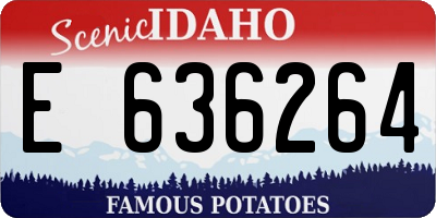 ID license plate E636264